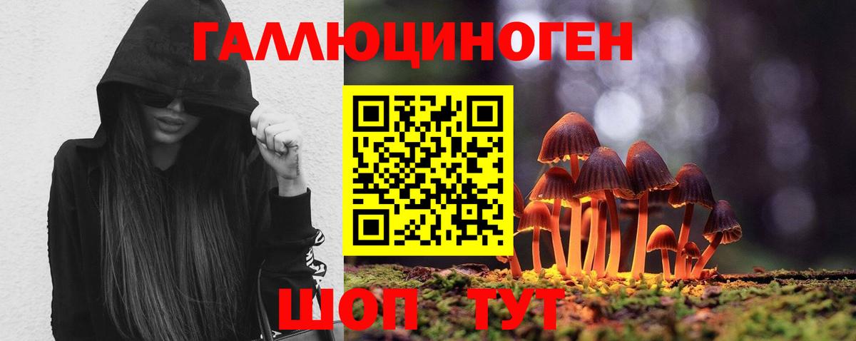 Псилоцибиновые грибы Psilocybine cubensis  Вход с VPN  Калининград 